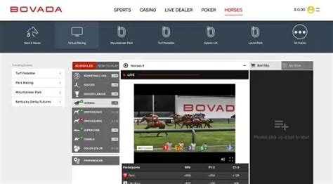 bovada horse racing betting